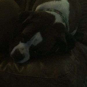 Meet your Posher, Elizabeth